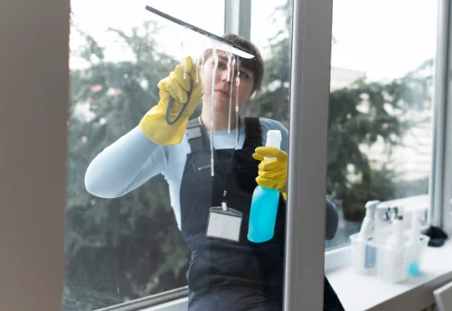 Nettoyage de vitres intérieures et extérieures à Neuville-les-Dames